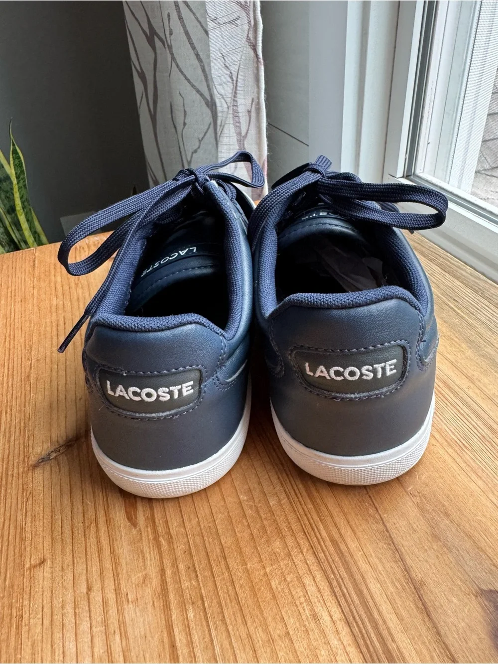 Lacoste europa lcr